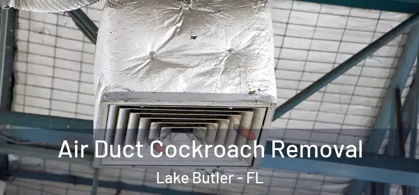 Air Duct Cockroach Removal Lake Butler - FL