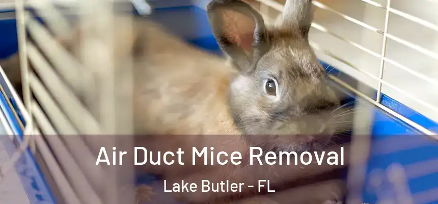 Air Duct Mice Removal Lake Butler - FL