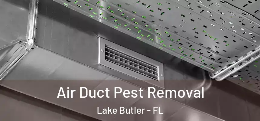 Air Duct Pest Removal Lake Butler - FL