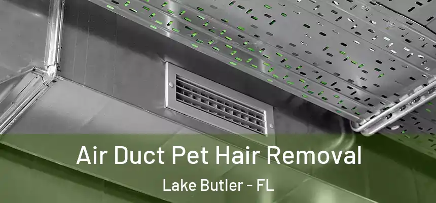 Air Duct Pet Hair Removal Lake Butler - FL