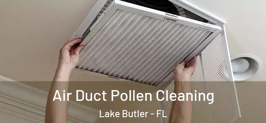 Air Duct Pollen Cleaning Lake Butler - FL