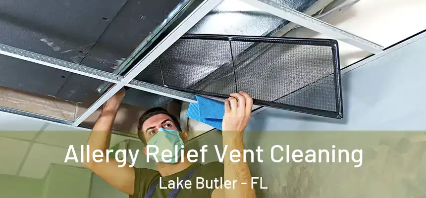 Allergy Relief Vent Cleaning Lake Butler - FL