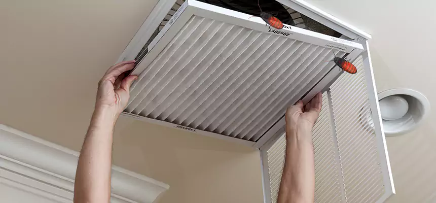 Preventive Cockroach-Proofing for Ducts in Lake Butler