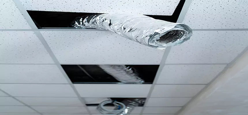 Affordable HVAC Sanitizing After Pest Removal in Lake Butler