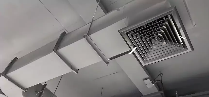 Restorative Allergy Relief Vent Cleaning – Coil, Blower & Housing Detail in Lake Butler