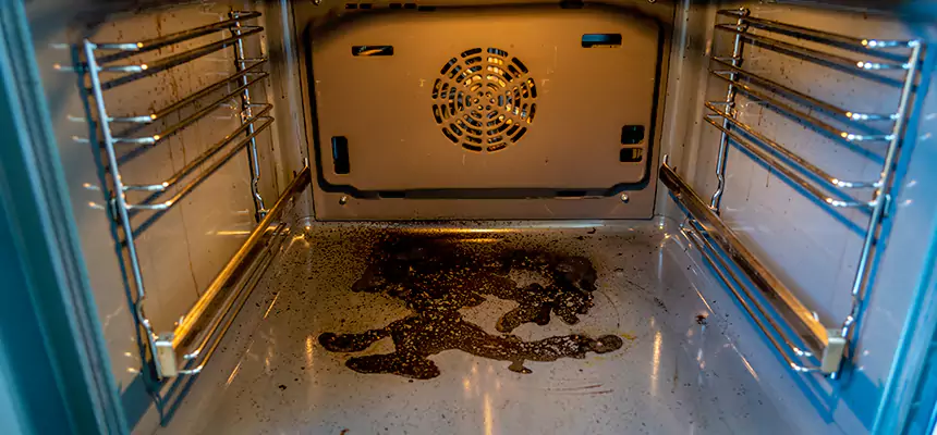 Our Dryer Vent Mold Cleaning Services in Lake Butler, FL