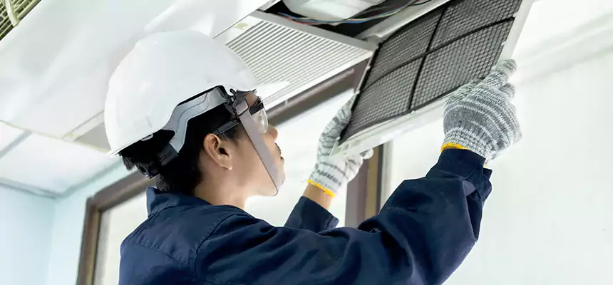 Our Mold & Mildew Removal from Air Ducts Services in Lake Butler, FL