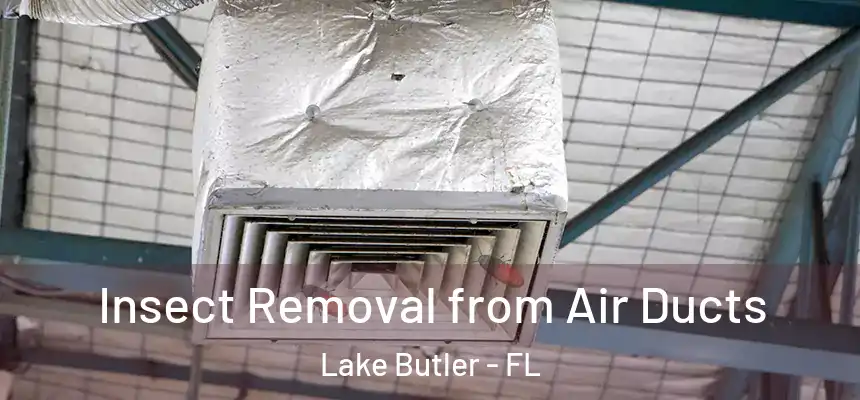 Insect Removal from Air Ducts Lake Butler - FL