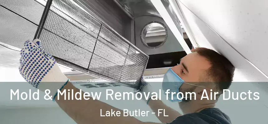 Mold & Mildew Removal from Air Ducts Lake Butler - FL