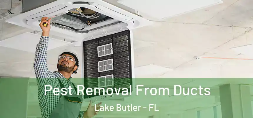 Pest Removal From Ducts Lake Butler - FL