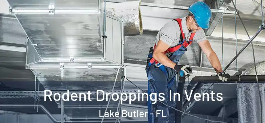 Rodent Droppings In Vents Lake Butler - FL