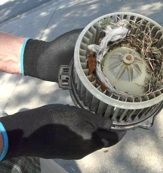 About Air Duct Rat Removal in Lake Butler, FL