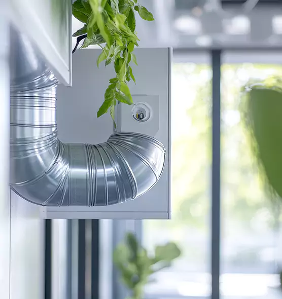 Professional Eco-Safe Dryer Vent Cleaning in Lake Butler, FL