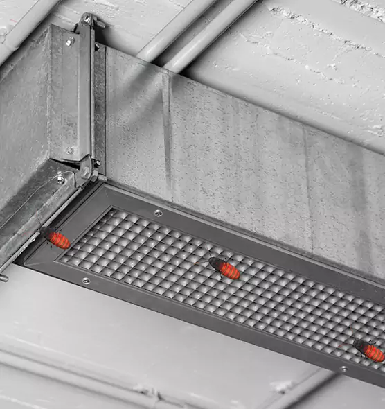 Affordable Insect Removal from Air Ducts in Lake Butler, FL