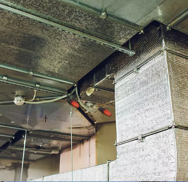 Why Homeowners & Businesses Trust Us in Lake Butler, FL?