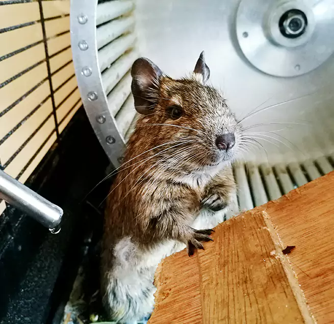 Why Homeowners & Businesses Trust Us Lake Butler, FL